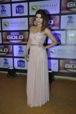 Shama Sikander at ZEE Gold Awards on 9th June 2016